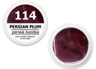 Spalvotas gelis - 114 - PERSIAN PLUM - persikinė slyvinė, 5g